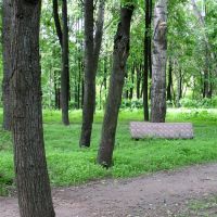 Karatkievič Park in Viciebsk (with sofa back leaned to the tree :), Витебск
