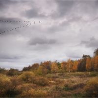 Осень, Новополоцк