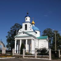 церковь Спасо-Преображенская, Чашники