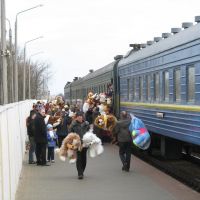 Zhlobins rail station.The sale of soft toys to train passangers, Жлобин
