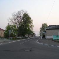 Ленинская улица, Петриков