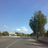 улица Пушкина, Петриков