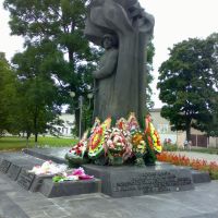 Памятник воинам и партизанам, Рогачев