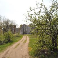 яблочный сад, Рогачев