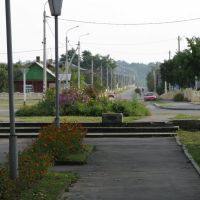 Zheludok park (view to Krasnopartizanskaya st)), Желудок