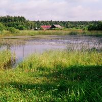Пруд на пресечении ул. Ленинская и Былины (Pond on the Leninskaja st. and Byliny st. crossing), Островец