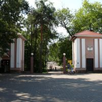 парк Горького, Борисов
