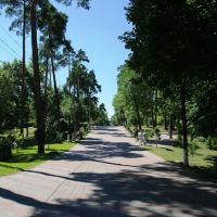 Дорожка в парке, Борисов