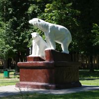 Медведи, Борисов