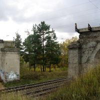 Руины моста старой узкоколейки, Жодино
