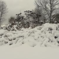 Winter in Zaslaue, Заславль