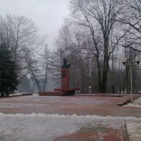 Памятник Ковалёнку Владимиру Васильевичу, Крупки