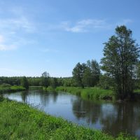 Bobr river downstream Krupki, Крупки