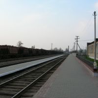 Железнодорожная станция Старые Дороги, Старые Дороги