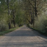 stone road, Столбцы