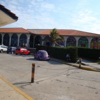 Acuario de Veracruz, Алтотонга