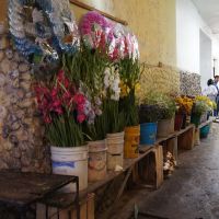 El Mercado y las Flores, Мартинес-де-ла-Торре