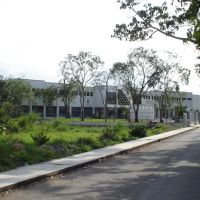 Universidad del Golfo de México, Мартинес-де-ла-Торре