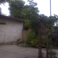 casa de  la familia (jaramillo, rivera), Пануко