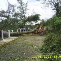 Daños causados por el huracán Dean en los terrenos de la Feria, Папантла (де Оларте)