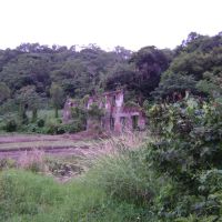 Ruinas en San Andres Tuxtla Veracruz, Сан-Андрес-Тукстла