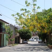calle con lluvia de oro, Игуала