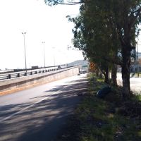 puente nuevo celaya irapuato, Саламанка
