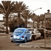 un bocho por agustin castro (a volkswagen beetle on the street), Гомес-Палацио