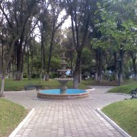 parque pasteur fuente, Пачука (де Сото)