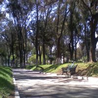 parque pasteur pachuca hidalgo, mexico, Пачука (де Сото)