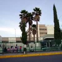Mexican Institute of Social Security / IMSS, Пачука (де Сото)