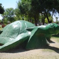 monumento a la tortuga en plaza de la tortuga torreon jardin, Торреон
