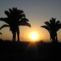 Twin Palms, Манзанилло