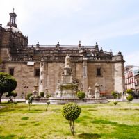 México, D.F., Cuauhtémoc, En las Jardineras de la Catedral Metropolitana., Наукалпан