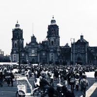 México exige ¡Verdadera Democracia!, Текскоко (де Мора)
