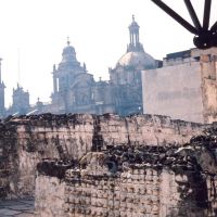 Skulls, Aztec Ruins, Mexico City, Текскоко (де Мора)