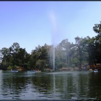 Lago en el Zoológico de Morelia, Морелиа