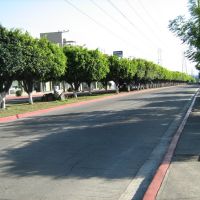 Avenida en Teopanzolco.JPG, Куэрнавака