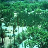 Jardines Santo Domingo, Тукстепек