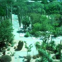 Jardín Etnobotánico, Sto. Domingo, Хуахуапан-де-Леон