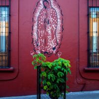 la virgen, casa de los milagros, oaxaca, Хуахуапан-де-Леон