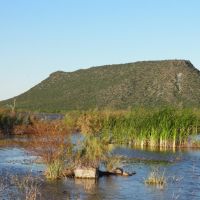 Swamp, Southern Sonora, México, Емпалм