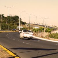 Ciudad Victoria, Tamaulipas- nuevo boulevard, Риноса