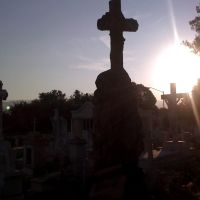 Cementerio Municipal 0 Morelos, Риноса