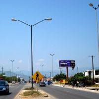 Carretera a Matamoros, Риноса