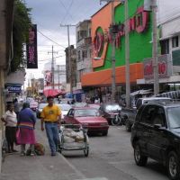 Cd Victoria - centro, Риноса