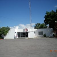 Cruz Roja Mexicana "Delegación Cd. Victoria", Риноса