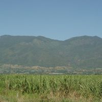 Cerro De Ameca, Амека