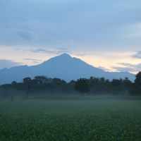 Tacana Volcano, dawn, mist, maize, Тапачула