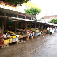 Mercat de Flors de Tonalà-Chiapas-Méxic., Тонала